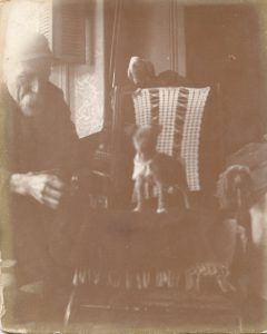 Animal Pics for Sugar Face406